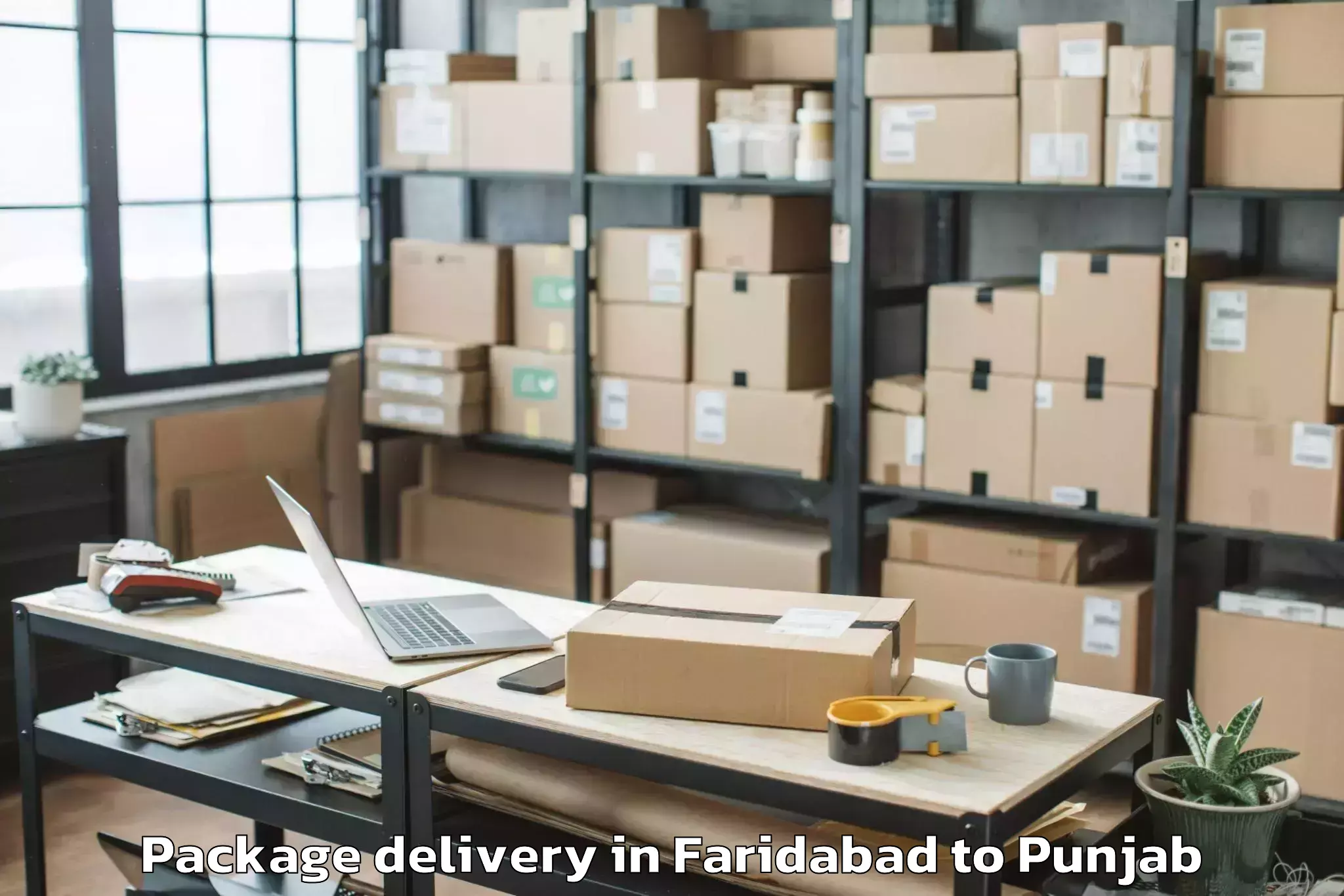 Quality Faridabad to Banga Package Delivery